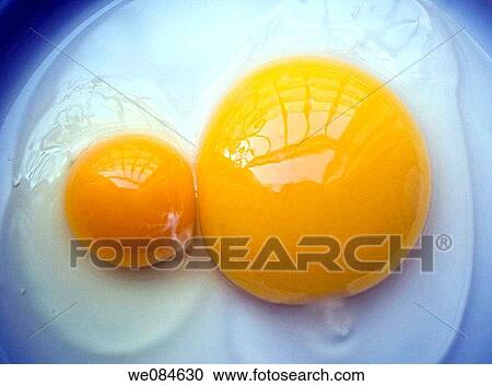 egg, food, goose, hen View Large Photo Image Stock Image - egg, food, goose, hen. Fotosearch