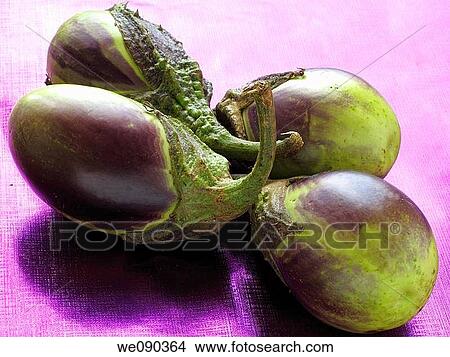 Eggplant View Large Photo Image Picture - Eggplant. Fotosearch
