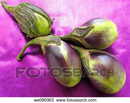 Stock Image - Eggplant. Fotosearch