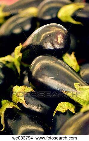 Eggplants on SAle on Farmer Market. Solanum melongena. View Large Photo Image Picture - Eggplants on SAle on Farmer Market. Solanum melongena.. Fotosearch