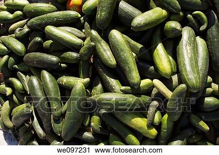Egypt red sea quoseir village cucumbers for sale View Large Photo Image Stock Image - Egypt red sea quoseir village cucumbers for sale. Fotosearch