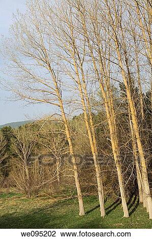 El Castillejo golf course, Gudar mountains, Virgen de la Vega, Alcala de la Selva, Teruel province, Spain View Large Photo Image Stock Image - El Castillejo golf course, Gudar mountains, Virgen de la Vega, Alcala de la Selva, Teruel province, Spain. Fotosearch