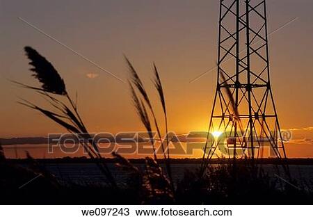 Electrical pylon at sunset View Large Photo Image Stock Image - Electrical pylon at sunset. Fotosearch
