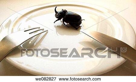 Stock Photo - Exotic food. Fotosearch