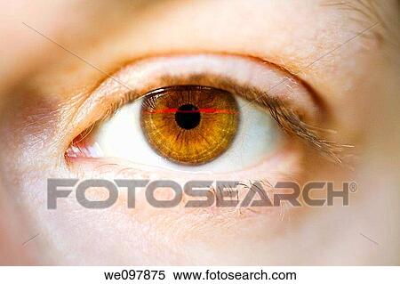 Eye, scan View Large Photo Image Stock Photography - Eye, scan. Fotosearch