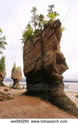 Stock Photography - Face of ET and Motherinlaw flowerpot sea stacks at Hopewell Rocks Bay of Fundy New Brunswick. Fotosearch