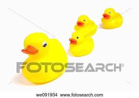Family of yellow rubber ducks View Large Photo Image Picture - Family of yellow rubber ducks. Fotosearch