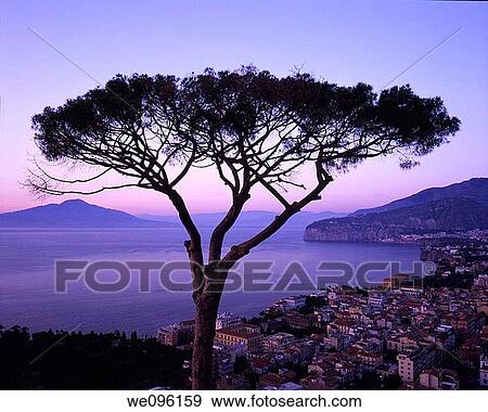 Famous view of Sorrento, Amalfi Coast, Campania, Italy View Large Photo Image Stock Photo - Famous view of Sorrento, Amalfi Coast, Campania, Italy. Fotosearch