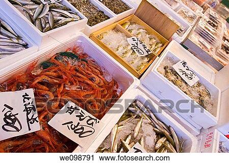 Fish displayed in styrofoam containers in a stall at the Tsukiji Fish Market in Tokyo, Japan, the biggest wholesale fish market in the world View Large Photo Image Stock Image - Fish displayed in styrofoam containers in a stall at the Tsukiji Fish Market in Tokyo, Japan, the biggest wholesale fish market in the world. Fotosearch