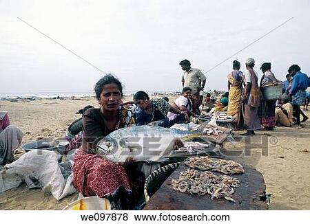Fish sale in marina Beach, Chennai, Madras, Tamil Nadu View Large Photo Image Stock Photo - Fish sale in marina Beach, Chennai, Madras, Tamil Nadu. Fotosearch