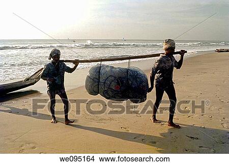 Fishermen carrying their catch, Marina Beach, Chennai, Madras, Tamil Nadu View Large Photo Image Picture - Fishermen carrying their catch, Marina Beach, Chennai, Madras, Tamil Nadu. Fotosearch