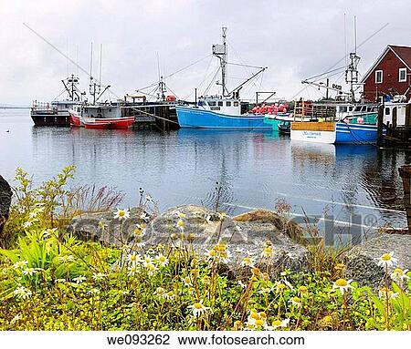 Fishing boats and wildflowers at Johns Cove or Yarmouth Bar Nova Scotia View Large Photo Image Stock Image - Fishing boats and wildflowers at Johns Cove or Yarmouth Bar Nova Scotia. Fotosearch