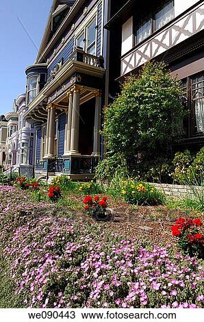 Stock Image - Flower Bed. Fotosearch