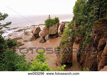 Stock Photograph - Flower Pot sea stacks at low tide at Hopewell Rocks Bay of Fundy New Brunswick. Fotosearch