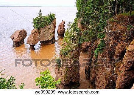 Flower Pot sea stacks with incoming tide at Hopewell Rocks Bay of Fundy New Brunswick View Large Photo Image Stock Photo - Flower Pot sea stacks with incoming tide at Hopewell Rocks Bay of Fundy New Brunswick. Fotosearch