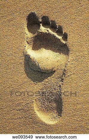 Foot print on beach View Large Photo Image Stock Photo - Foot print on beach. Fotosearch