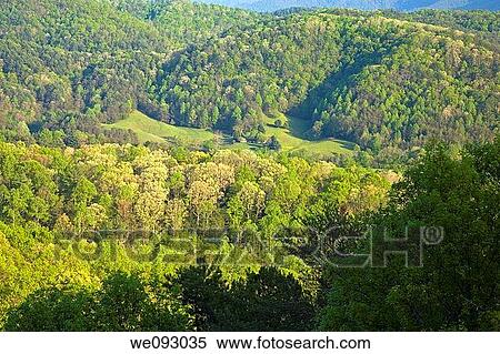 Foothills Parkway, East Tennessee View Large Photo Image Stock Photography - Foothills Parkway, East Tennessee. Fotosearch