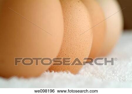 Four aligned eggs View Large Photo Image Stock Photograph - Four aligned eggs. Fotosearch