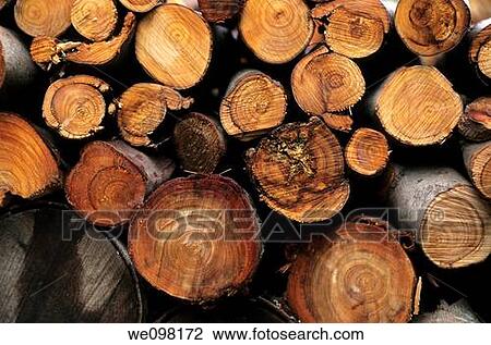 France corsica island heaps of logs View Large Photo Image Stock Image - France corsica island heaps of logs. Fotosearch