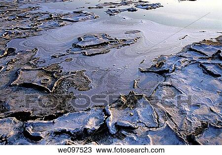 France Provence Drought In Camargue Dry Pond View Large Photo Image Stock Image - France Provence Drought In Camargue Dry Pond. Fotosearch