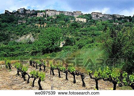 France provence luberon gordes perched village and vineyards View Large Photo Image Stock Photo - France provence luberon gordes perched village and vineyards. Fotosearch