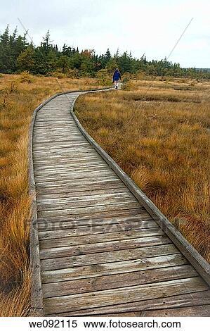 Stock Photography - French Mountain Bog, Cape Breton Highlands Nat. Park, Nova Scotia. Fotosearch
