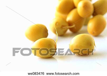 Fresh Arabic Dates View Large Photo Image Stock Photograph - Fresh Arabic Dates. Fotosearch
