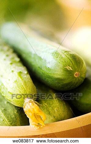Fresh Harvested Cucumbers in a Bamboo Bowl. Cucumis sativus. View Large Photo Image Stock Photo - Fresh Harvested Cucumbers in a Bamboo Bowl. Cucumis sativus.. Fotosearch