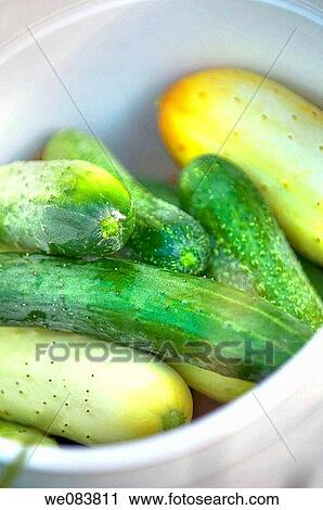 Fresh Harvested Cucumbers in a Bucket. Cucumis sativus. View Large Photo Image Stock Image - Fresh Harvested Cucumbers in a Bucket. Cucumis sativus.. Fotosearch