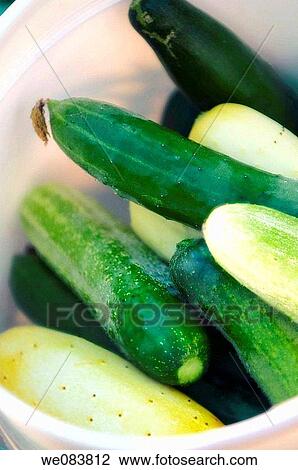 Fresh Harvested Cucumbers in a Bucket. Cucumis sativus. View Large Photo Image Stock Image - Fresh Harvested Cucumbers in a Bucket. Cucumis sativus.. Fotosearch