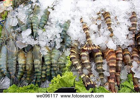 Fresh Prawns For Sale, Hua Hin Night Market, Thailand View Large Photo Image Stock Photo - Fresh Prawns For Sale, Hua Hin Night Market, Thailand. Fotosearch