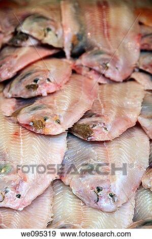 Fresh soles Liege Belgium View Large Photo Image Stock Photo - Fresh soles Liege Belgium. Fotosearch