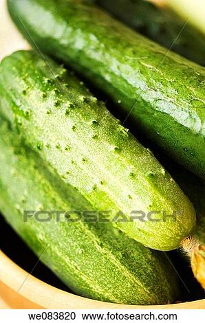 Freshly Harvested Cucumbers in a Bamboo Bowl. Cucumis sativus View Large Photo Image Stock Image - Freshly Harvested Cucumbers in a Bamboo Bowl. Cucumis sativus. Fotosearch