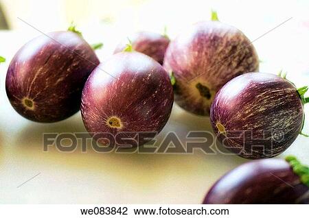 Stock Image - Freshly Harvested Graffiti Eggplants on Cutting Board. Solanum melongena.. Fotosearch