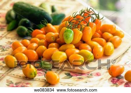Freshly Harvested Orange Cherry Tomatoes and Green Cucumbers on Cutting Board. Solanum lycopersicon, cucumis sativus. View Large Photo Image Picture - Freshly Harvested Orange Cherry Tomatoes and Green Cucumbers on Cutting Board. Solanum lycopersicon, cucumis sativus.. Fotosearch