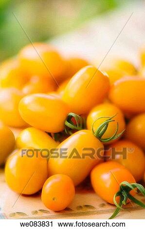 Freshly Harvested Orange Cherry Tomatoes on Cutting Board. Solanum lycopersicon. View Large Photo Image Stock Image - Freshly Harvested Orange Cherry Tomatoes on Cutting Board. Solanum lycopersicon.. Fotosearch