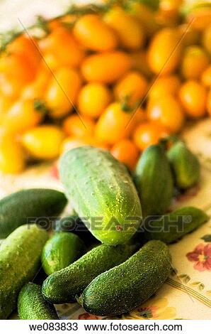 Freshly Harvested Orange Cherry Tomatoes and Green Cucumbers on Cutting Board. Solanum lycopersicon, cucumis sativus. View Large Photo Image Stock Image - Freshly Harvested Orange Cherry Tomatoes and Green Cucumbers on Cutting Board. Solanum lycopersicon, cucumis sativus.. Fotosearch