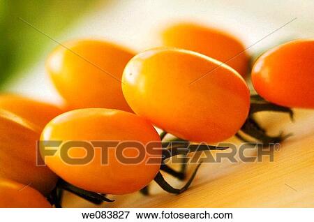 Freshly Harvested Orange Cherry Tomatoes on Cutting Board. Solanum lycopersicon. View Large Photo Image Stock Photo - Freshly Harvested Orange Cherry Tomatoes on Cutting Board. Solanum lycopersicon.. Fotosearch
