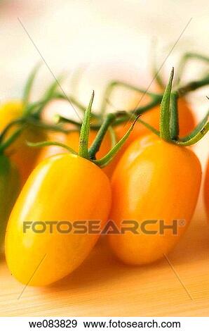 Freshly Harvested Orange Cherry Tomatoes on Cutting Board. Solanum lycopersicon. View Large Photo Image Stock Photo - Freshly Harvested Orange Cherry Tomatoes on Cutting Board. Solanum lycopersicon.. Fotosearch