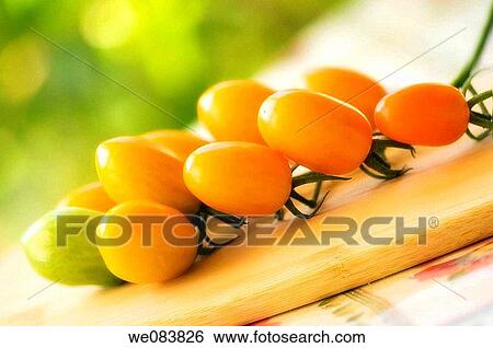 Freshly Harvested Orange Cherry Tomatoes on Cutting Board. Solanum lycopersicon. View Large Photo Image Stock Photograph - Freshly Harvested Orange Cherry Tomatoes on Cutting Board. Solanum lycopersicon.. Fotosearch
