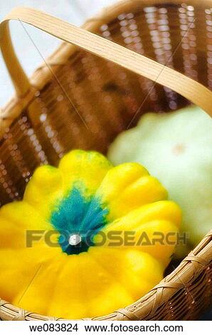 Freshly Harvested Yellow and Green Pattison Squash in a Basket. Cucurbita pepo. View Large Photo Image Picture - Freshly Harvested Yellow and Green Pattison Squash in a Basket. Cucurbita pepo.. Fotosearch