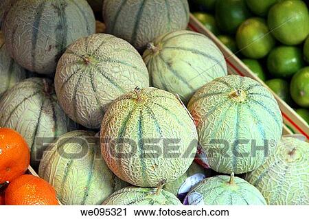Fruits and vegetables Pumpkins Belgium View Large Photo Image Stock Image - Fruits and vegetables Pumpkins Belgium. Fotosearch