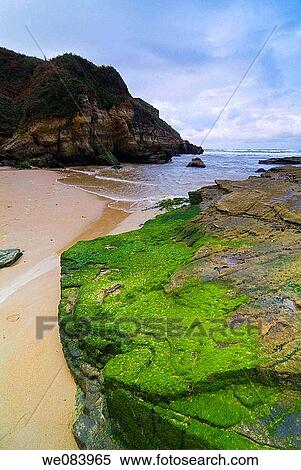 Galizano beach, Cantabria. Spain. View Large Photo Image Stock Photography - Galizano beach, Cantabria. Spain.. Fotosearch