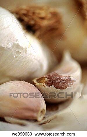 Garlic Cloves View Large Photo Image Stock Image - Garlic Cloves. Fotosearch