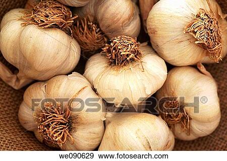 Garlic Cloves View Large Photo Image Stock Photo - Garlic Cloves. Fotosearch