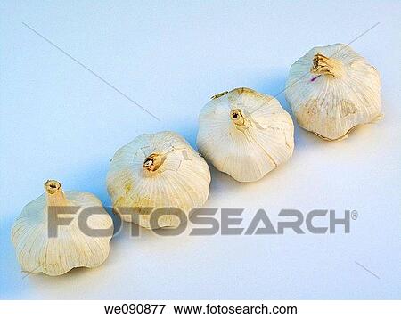 Garlic View Large Photo Image Stock Photo - Garlic. Fotosearch