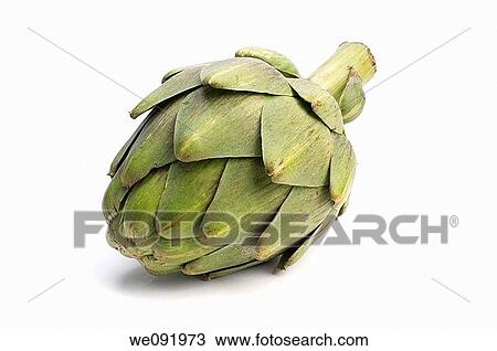 Stock Image - Globe Artichoke. Fotosearch