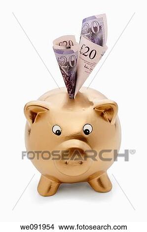 Gold piggy bank with pound notes View Large Photo Image Picture - Gold piggy bank with pound notes. Fotosearch