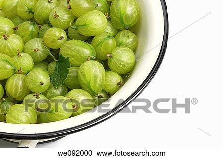 Stock Image - Gooseberries in enamel colander. Fotosearch