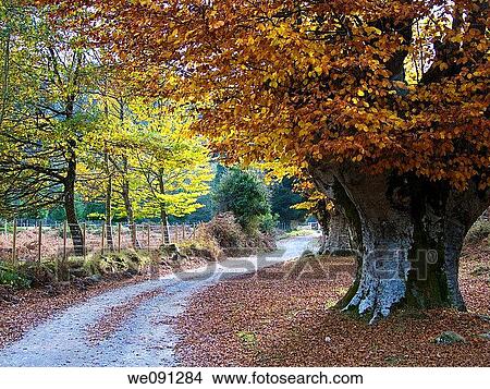 Gorbea Natural Park. Alava. Basque Country. Spain. View Large Photo Image Picture - Gorbea Natural Park. Alava. Basque Country. Spain.. Fotosearch